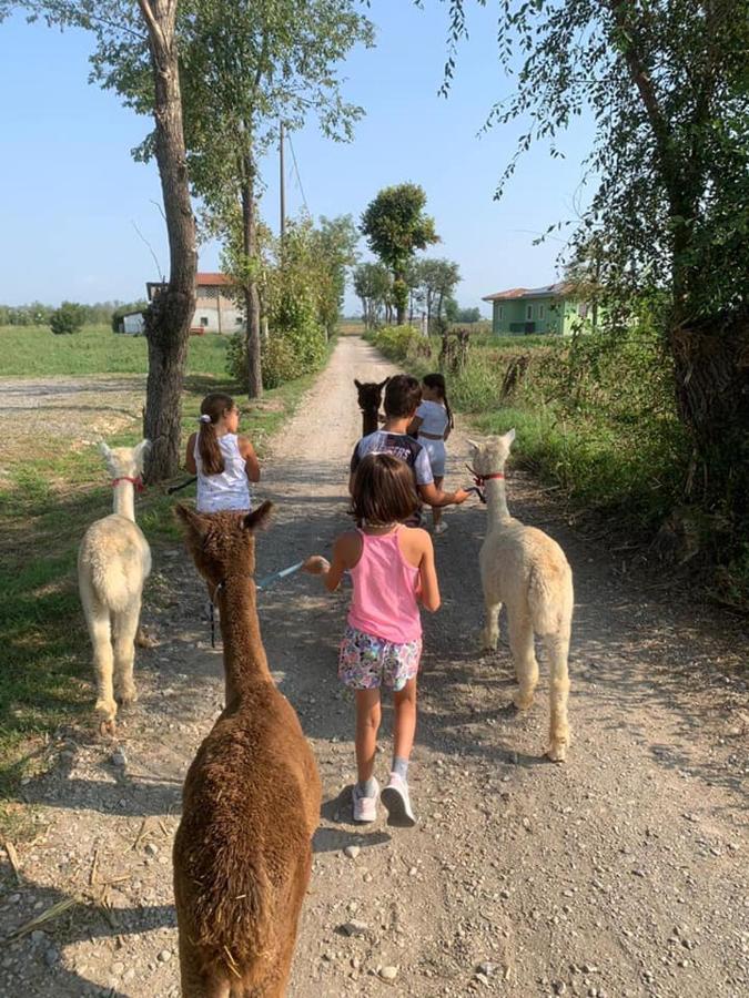 Pirola Music Ranch Guest House B&B Romano di Lombardia Buitenkant foto
