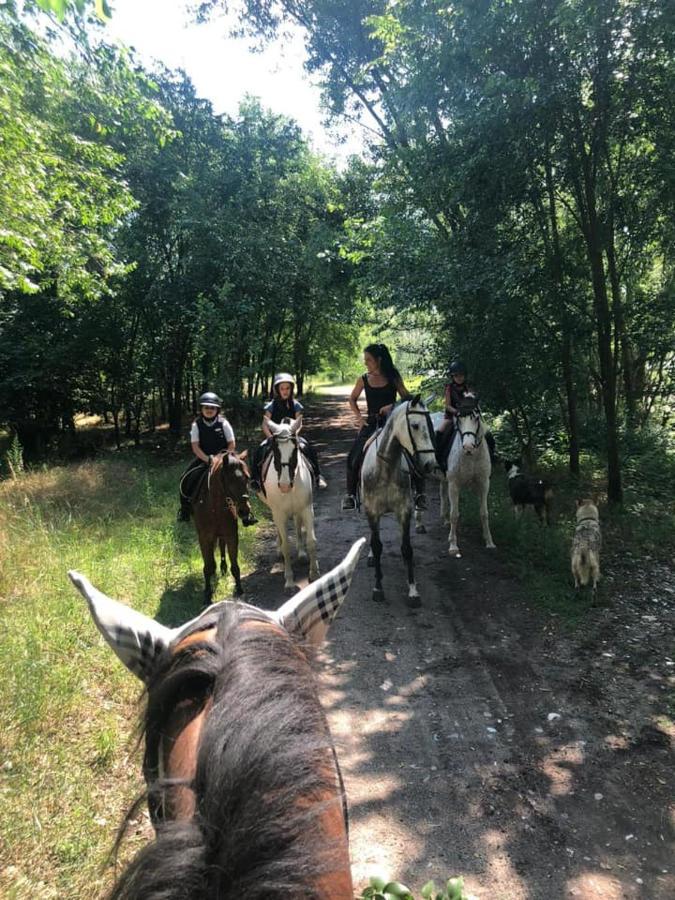 Pirola Music Ranch Guest House B&B Romano di Lombardia Buitenkant foto