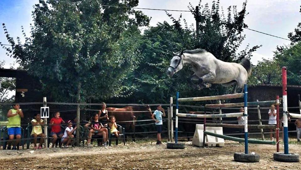 Pirola Music Ranch Guest House B&B Romano di Lombardia Buitenkant foto